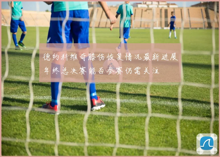 德约科维奇膝伤恢复情况最新进展年终总决赛能否参赛仍需关注